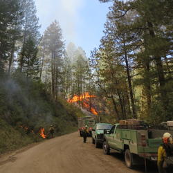 A managed wildfire in New Mexico demonstrates application of wildland fire science for forest restoration and risk reduction