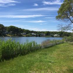 View looking north along the eastern shore of Little Pond, East Falmouth, MA