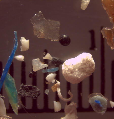 Microplastic particles