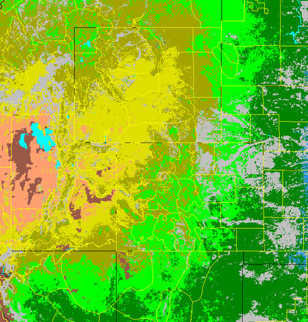 Satellite data image for expected fires.