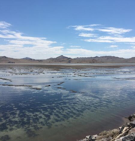 Decreasing water levels in the southern arm of the Great Salt Lake expose microbialite communities that are normally underwater.