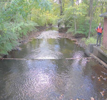 Looking down river along a tree lined stream