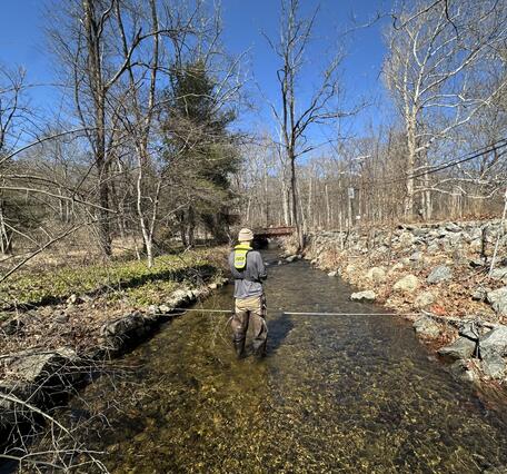 Looking at the back of a man in waders and grey shirt with a line stretched across the river he's in