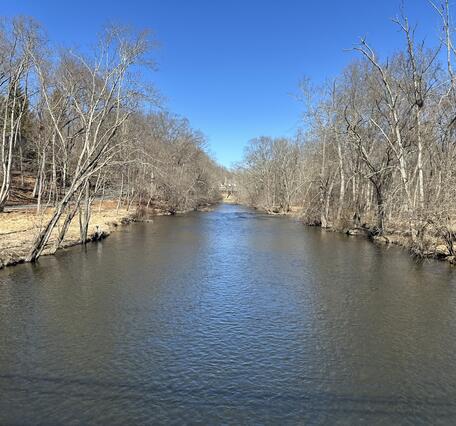 Looking upstream along a tree-lined river from a position in the middle of the river