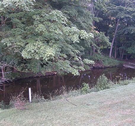 Looking across a yard at a small creek 