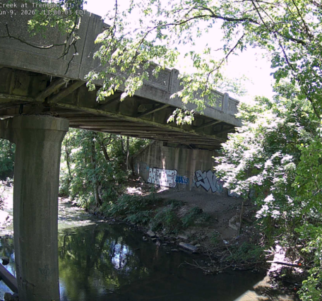 Looking at the river under a bridge in Trenton