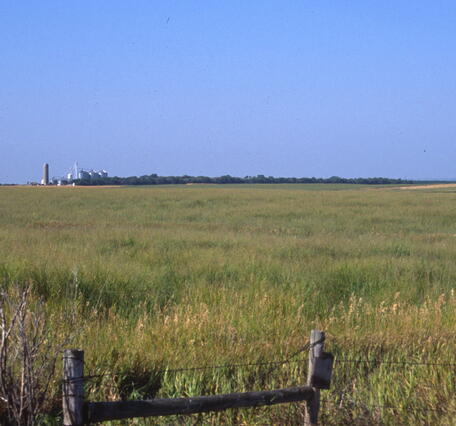 A flat landscape with grasses, a part of a fence in the foreground and a farmstead far in the background