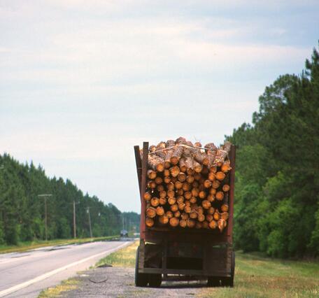 A truck with a load of logs is stopped on the side of a two-lane highway lined on both sides by a grass ditch and then trees