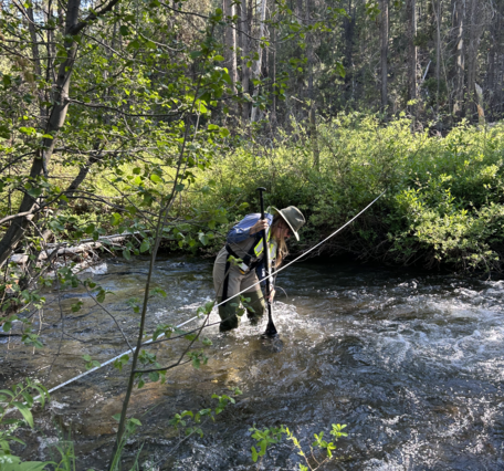 Female hydro tech in safety gear stands in knee deep rushing stream water collecting temperature readings