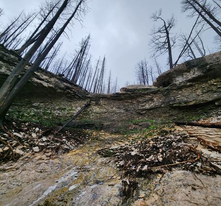 rock outcrop near the top of a channel surrounded by burned trees