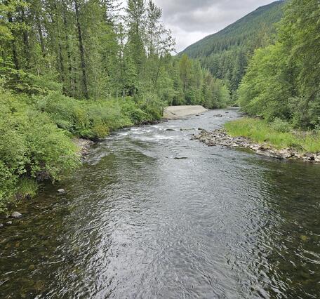 Cobble-bed river channel