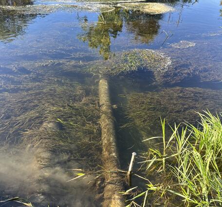 Underwater tube covered by silt and plants