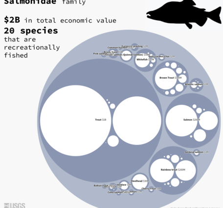 Nested bubble chart shows global economic value in U.S. dollars for the Salmonidae family of fish.