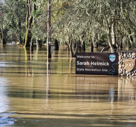 Dark tan water is up to sign at flooded park