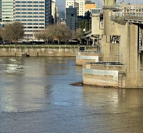 Looking across a wide city river. Wooden bridge dolphins on a concrete bridge in the main channel. tall buildings in distance