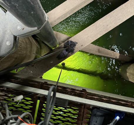 Inside a bridge dolphin looking down into green water depths