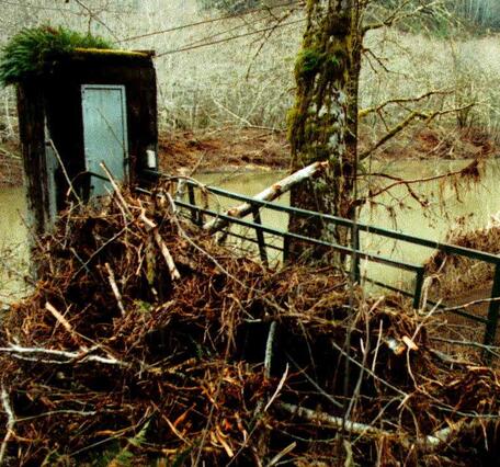 large pile of wood, sticks against the gage house walkway ramp.