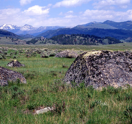 grassy field with moss-covered boulders, and forested hills and snowy mountains in the distance