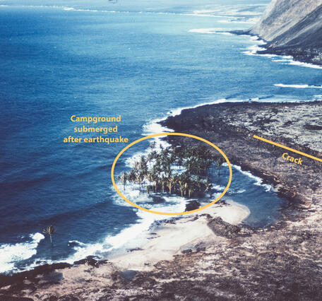 Color photograph showing submerged coconut grove along a coastline