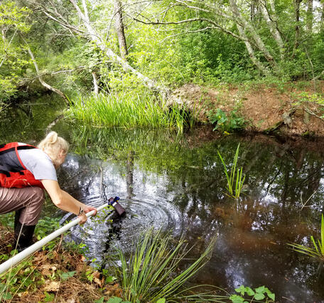 Staff collecting water quality sample at Station 20, Herring River at Route 6 in Wellfleet, Massachusetts