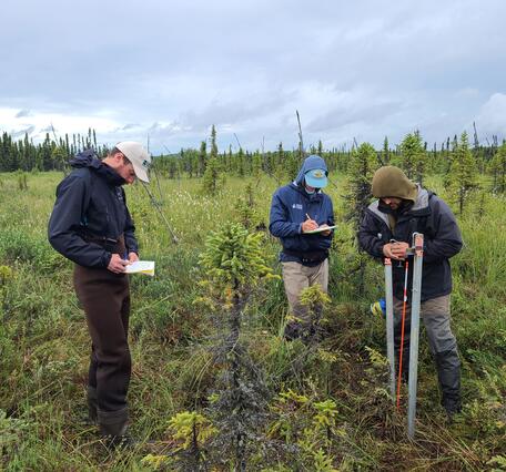 Researchers performing field work in Beaver Creek, AK.