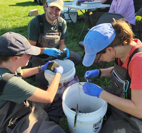 Collection of aquatic invertebrates in the field