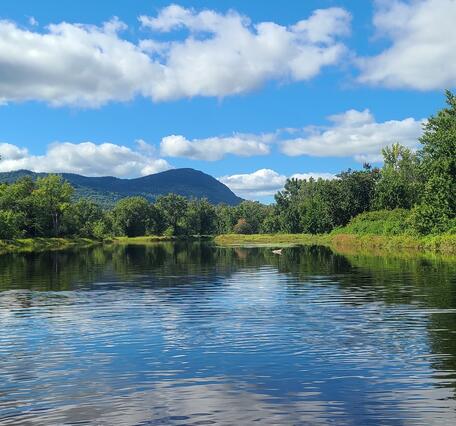 A view of a calm river with green banks and a mountain in the background.