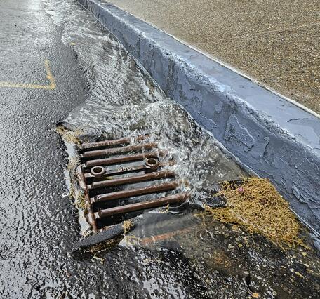 Water flows into drain in pavement