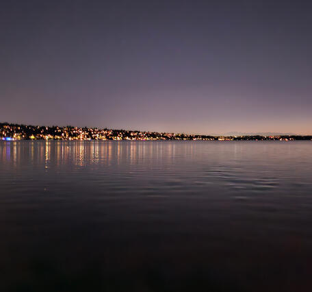 skyline at night with lots of artificial light from houses and buildings along the lake