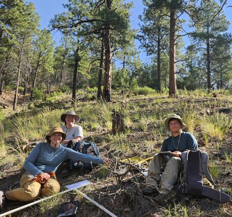 three people in field gear and with field equipment sit on a forest floor, with grasses and pine trees behind them
