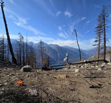 The remains of a wildfire on a mountaintop looking into the distance - the few remaining trees have been burned black