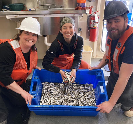 `Three researchers sort fish out of a blue tubon the deck of a large research vessel.