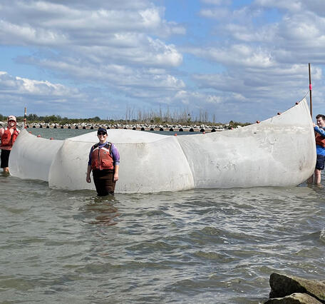 Three researchers standing in shallow water holding a seine net open