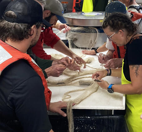 Researchers standing around a table sorting fish out of a gill net on a research vessell.
