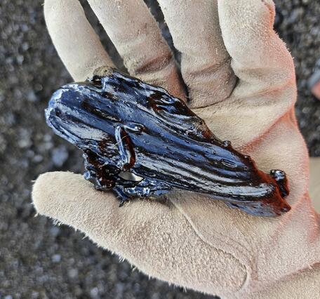 Color photograph of lava sample in a gloved hand