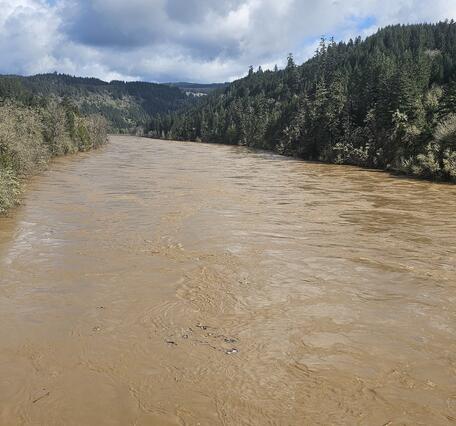 A wide channel full of brown water spills over onto tree lined banks on a partly cloudy day