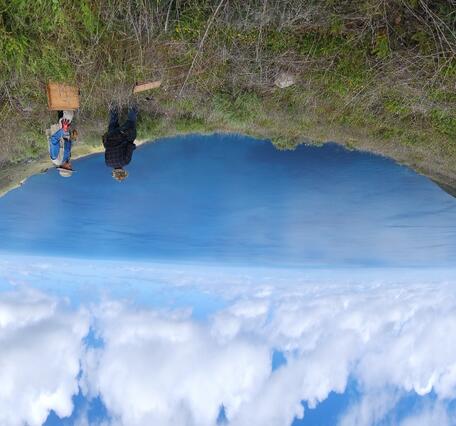 Researchers with plywood boards to increase rare lizard habitat on a slope overlooking the ocean, San Clemente Island