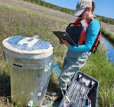 Scientist doing fieldwork in a coastal wetland