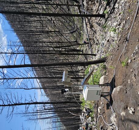 equipment including rain gage and solar panel on hillslope covered by burned trees 