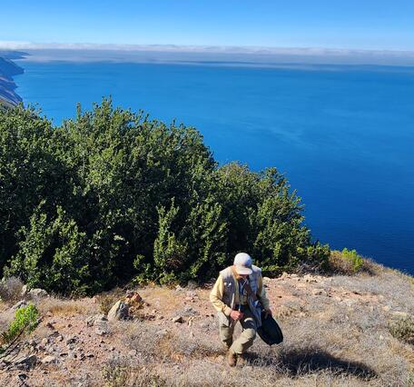 Zoologist Charles Drost walks up a steep hill high above the coast on San Clemente Island, CA