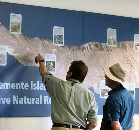 Scientist Charles Drost and Emeritus Mark Sogge look at a map of San Clemente Island on a wall