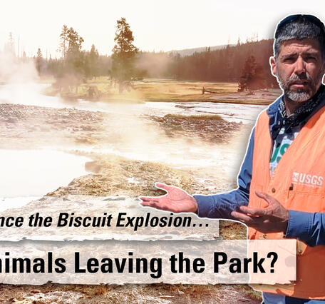 Thumbnail showing man in orange vest in front of a steaming geyser basin