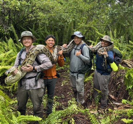 four people hold a large Burmese python over their shoulders, ferns and large trees in the background