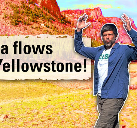 Thumbnail image of a man with his arms in the air in a meadow with cliffs in the background