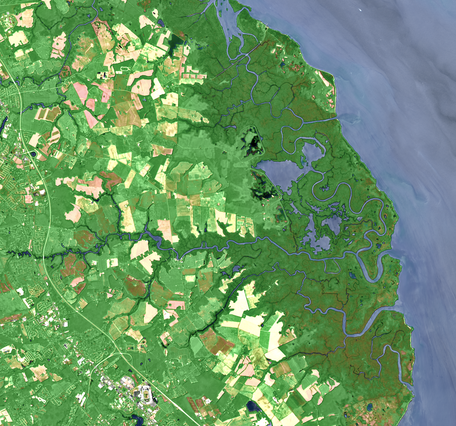 Landsat satellite image of the Bombay Hook National Wildlife Refuge in Delaware
