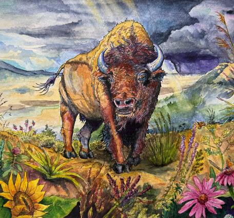 Watercolor painting of a bison on a prairie with culturally significant prairie plant species in the foreground