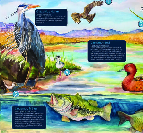 Watercolor painting of wildlife at Horseshoe Springs, Utah