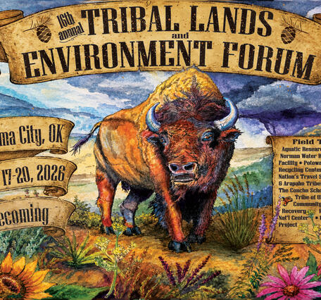 Watercolor painting of a bison on a prairie with culturally significant prairie plant species in the foreground
