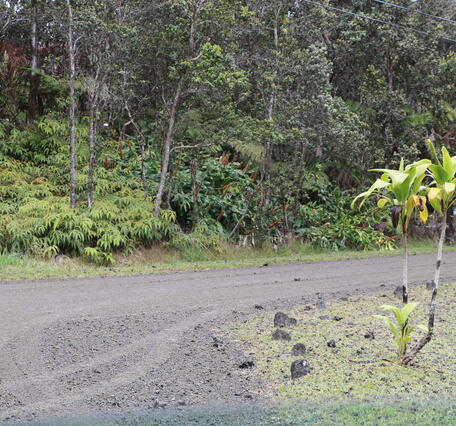 Color photograph of road intersection