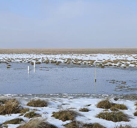 a shallow lake with white pipes sticking out on the right and a yellow rod on the left